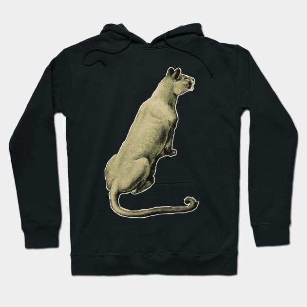 Jaguar the observant feline that lives in the forest Hoodie by Marccelus